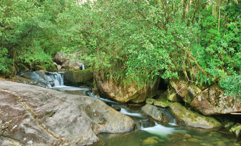 estado do rio de janeiro Cachoeira na Serrinha do Alambari