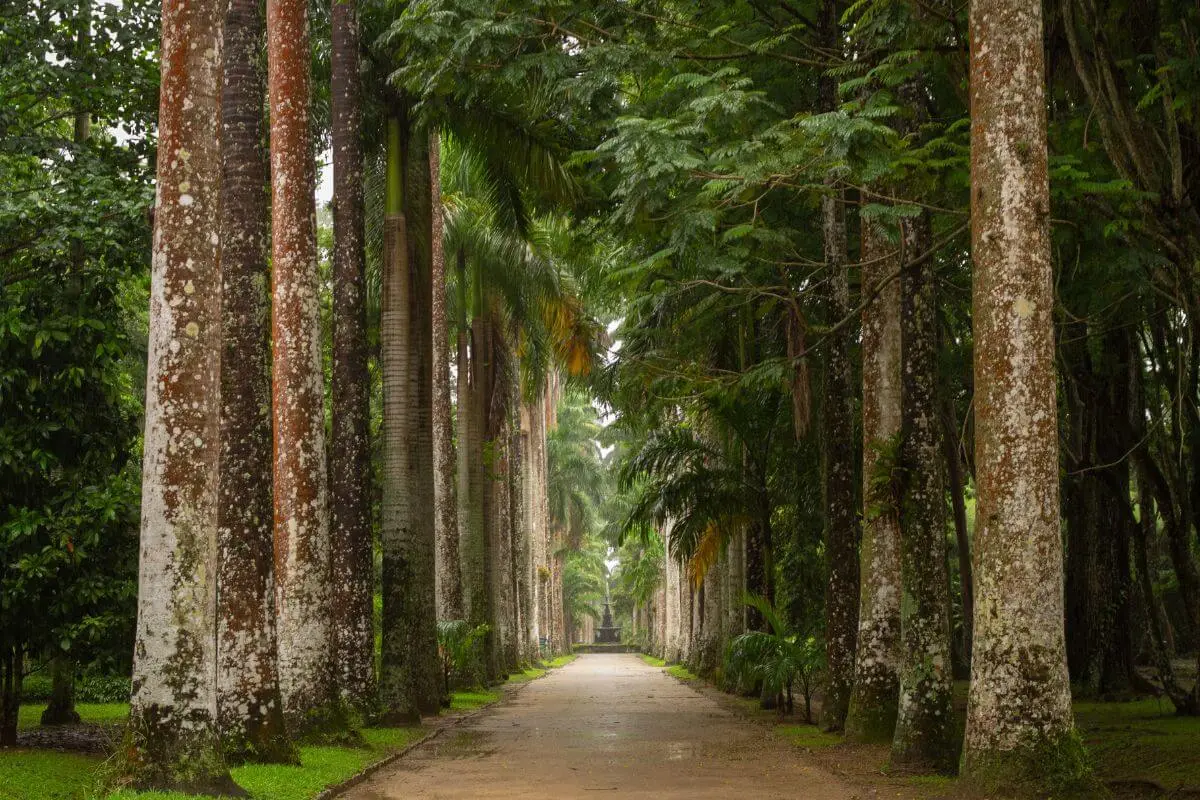 6 atrações turísticas acessíveis no Rio de Janeiro