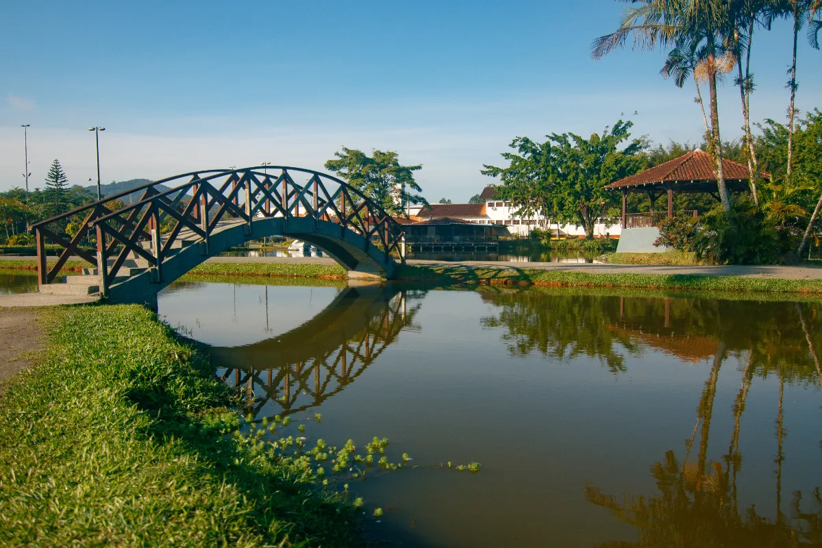 bate e volta curitiba Joinville, SC