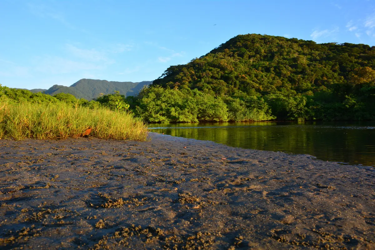 7 melhores praias de Bertioga em alta nesse verão Indaiá, Bertioga praias