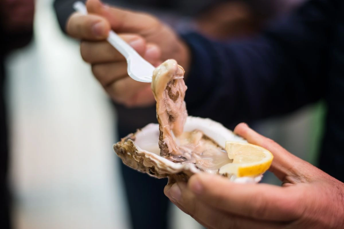 Mercado Público de Florianópolis: O Melhor Destino para Compras e Gastronomia na Ilha! Mercado Florianópolis, SC