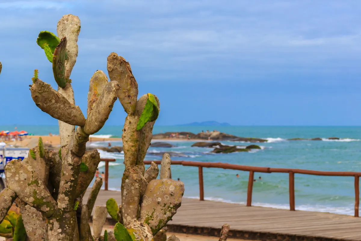 como chegar em Rio das Ostras, RJ
