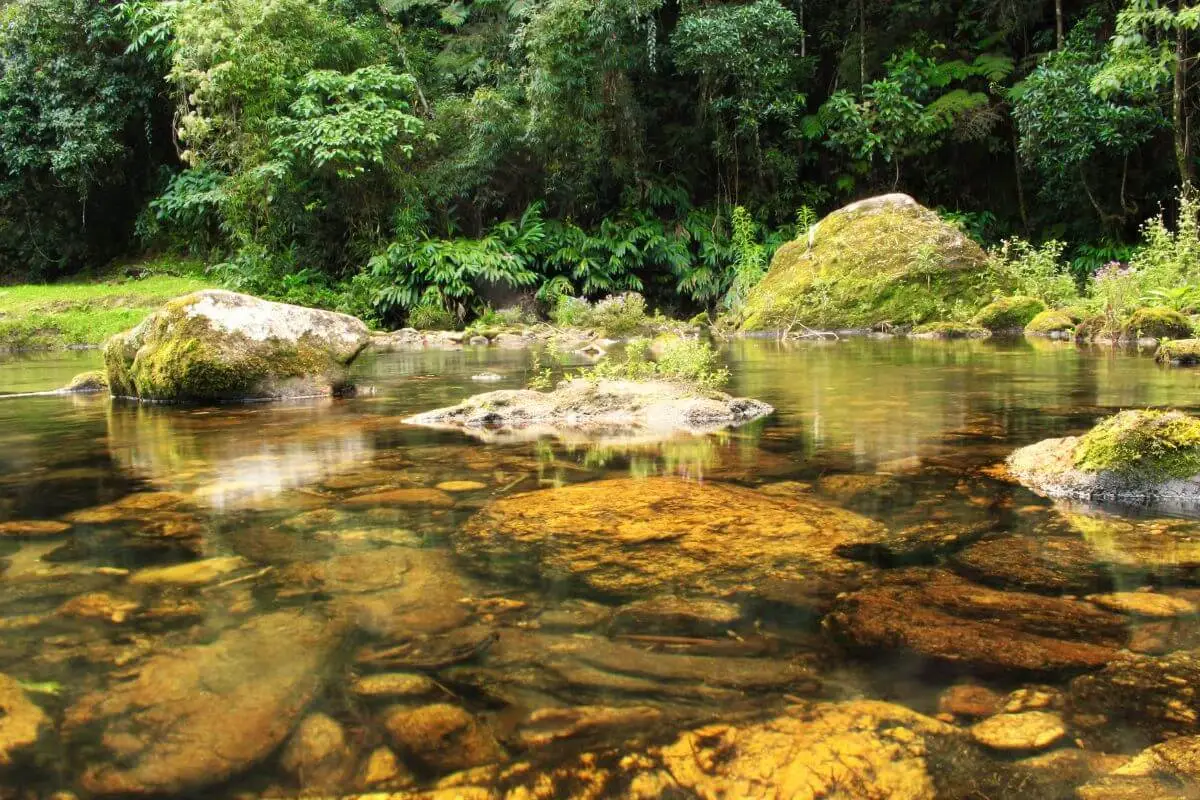 O que fazer em Nova Friburgo: Roteiro de 1 dia com os melhores pontos turísticos!