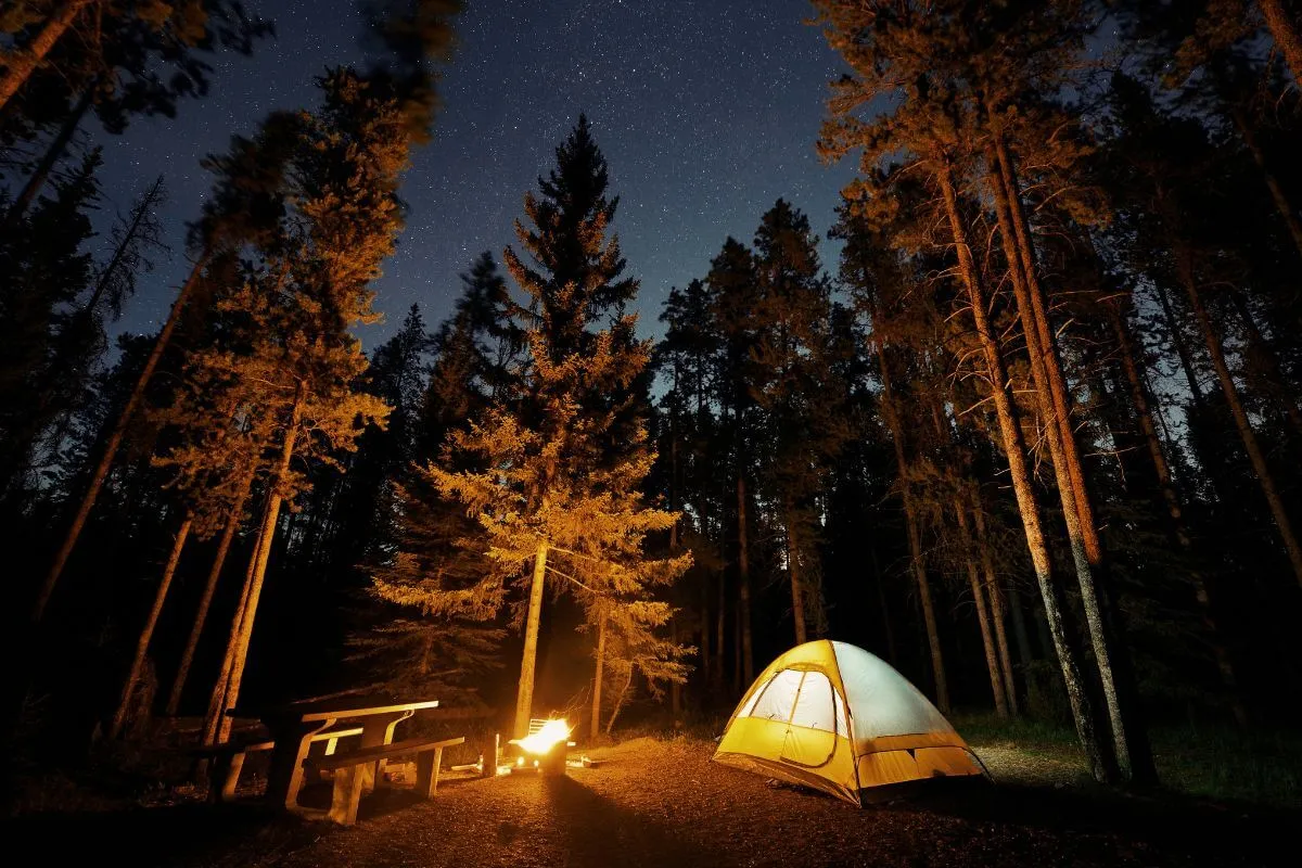 camping e acampamento - a tent and a fire in a forest at night