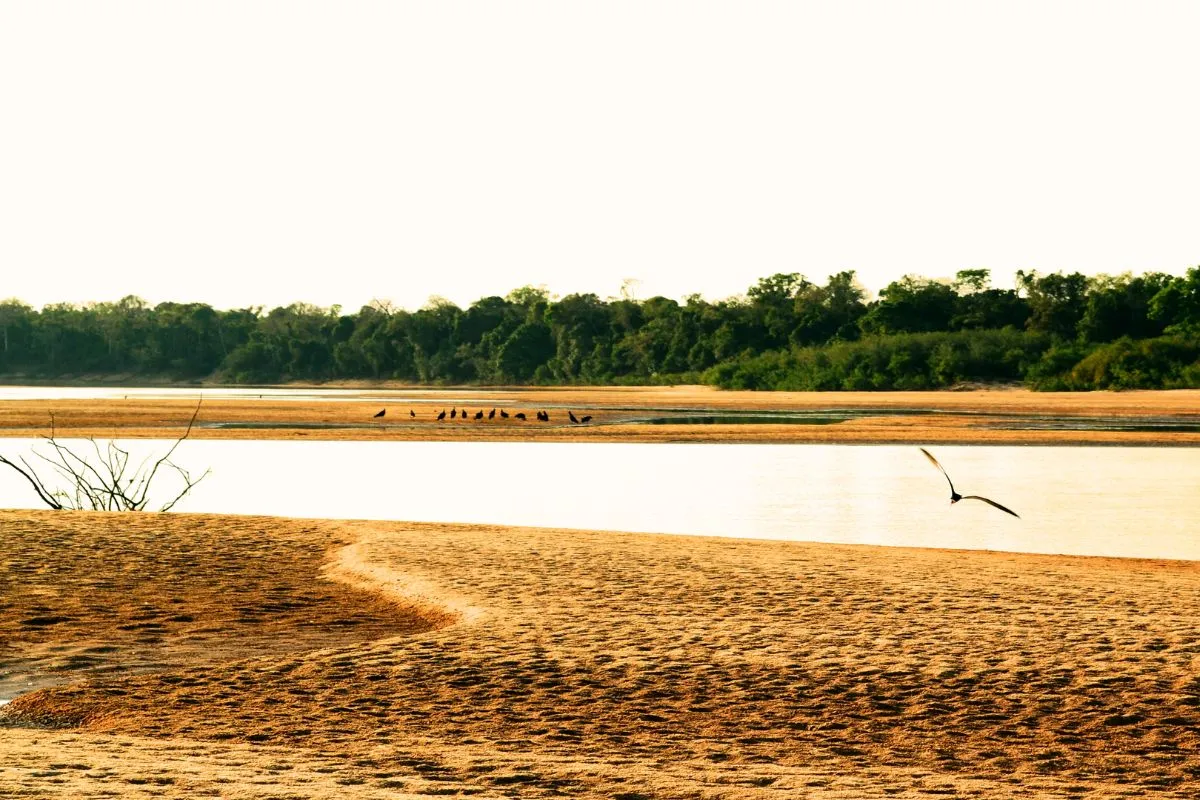 Tesouros ocultos: uma viagem pelas ilhas fluviais do Brasil Ilha do Bananal