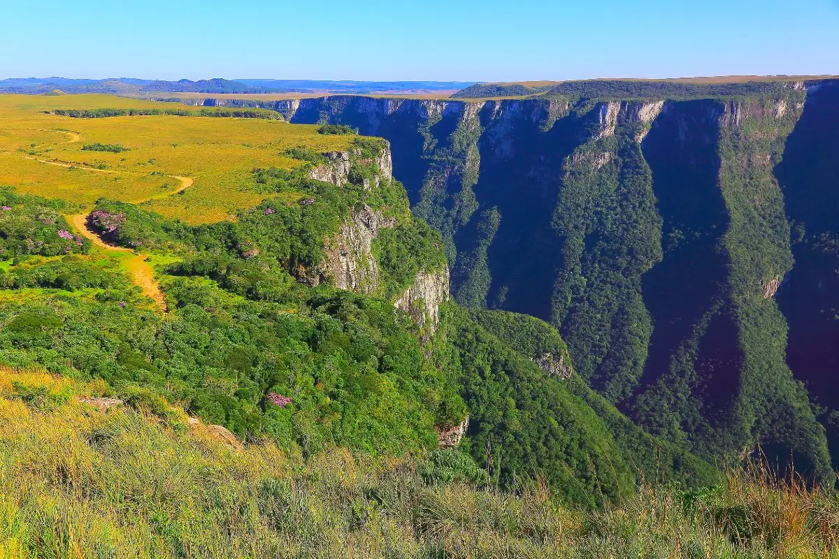 O que fazer em Cambará do Sul: Roteiro de 4 dias para explorar a terra dos cânions O que fazer em Cambará do Sul: Roteiro de 4 dias para explorar a terra dos cânions