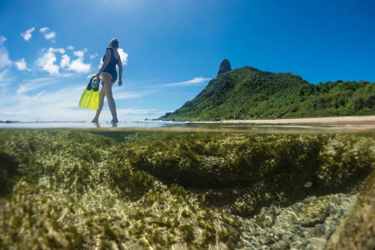 mergulho Praia em Fernando de Noronha