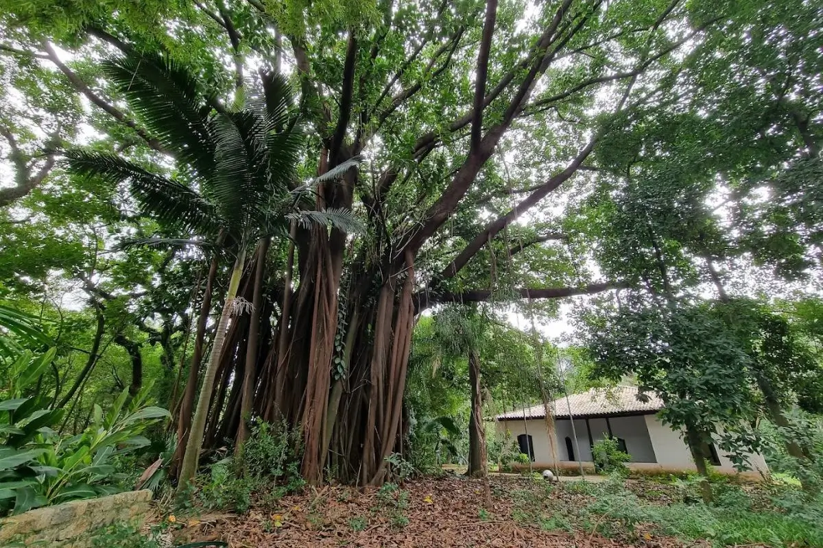 casas antigas em sp, casa do bandeirante