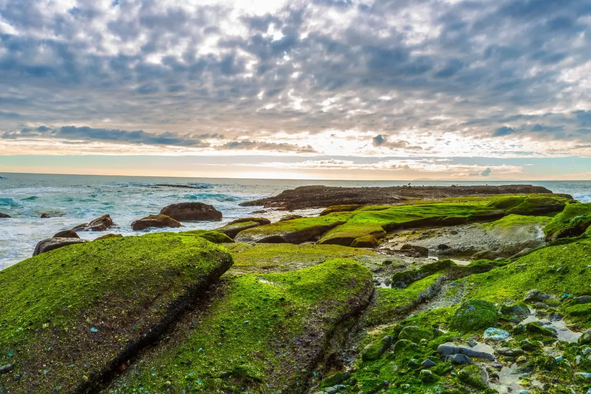 Qual o lugar mais frio do mundo? Conheça 10 países com invernos intensos!