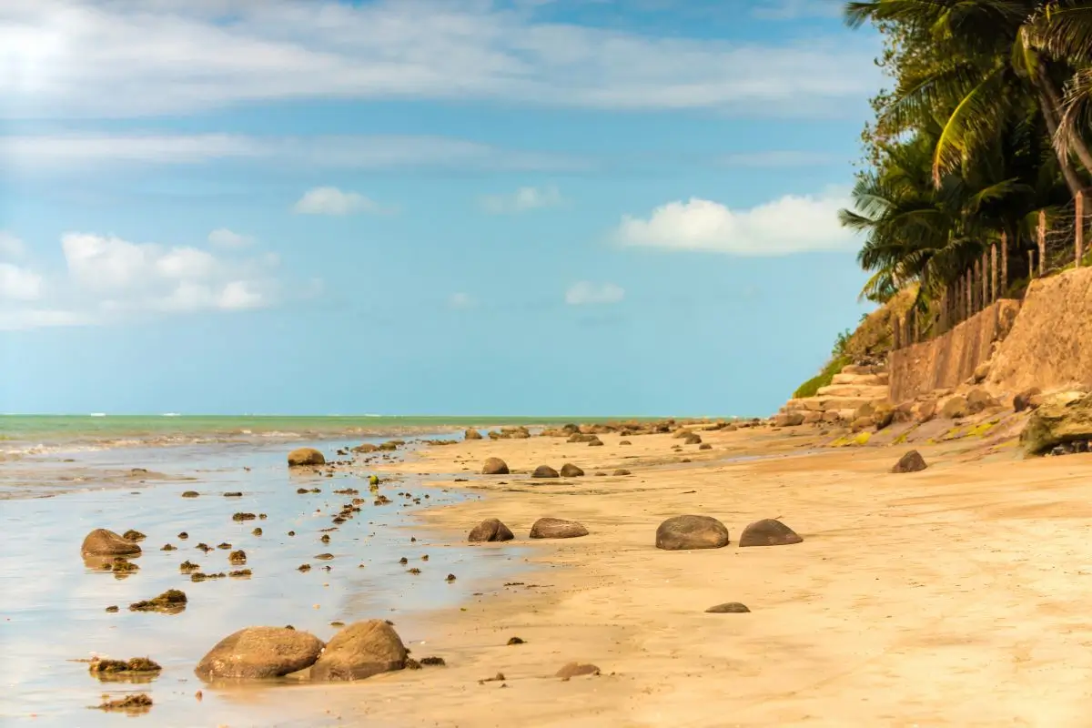 O que fazer Japaratinga: Melhores atrações e pontos turísticos para explorar a Costa dos Corais O que fazer Japaratinga: Melhores atrações e pontos turísticos para explorar a Costa dos Corais
