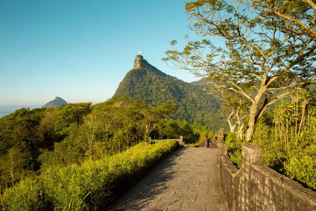 Floresta da Tijuca do Rio de Janeiro