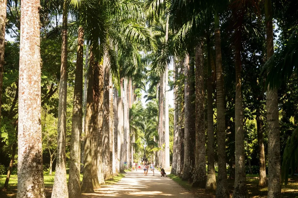 Jardim Botânico Rio de Janeiro