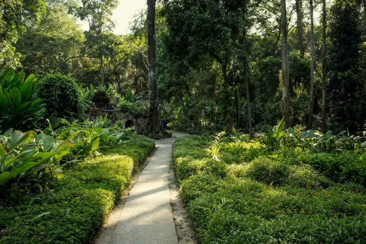 Parque Lage rio de Janeiro 