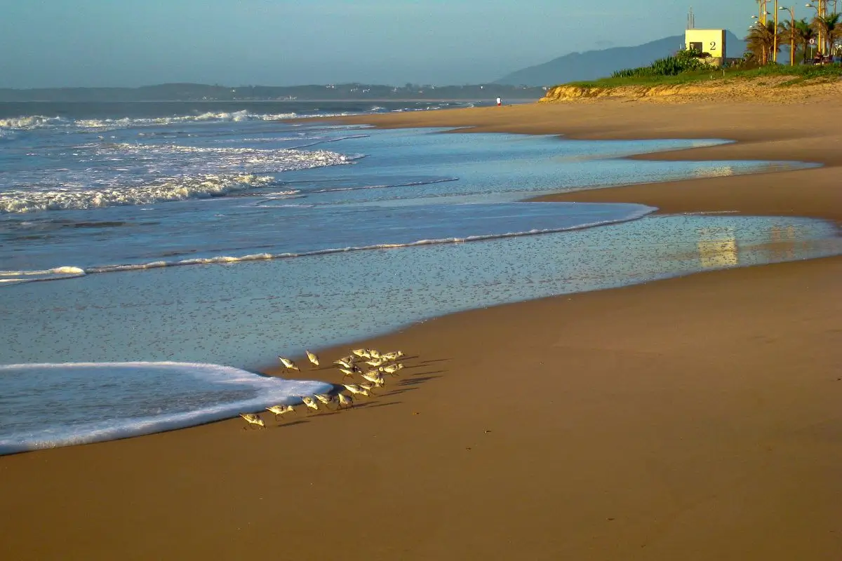 litoral Rio de Janeiro