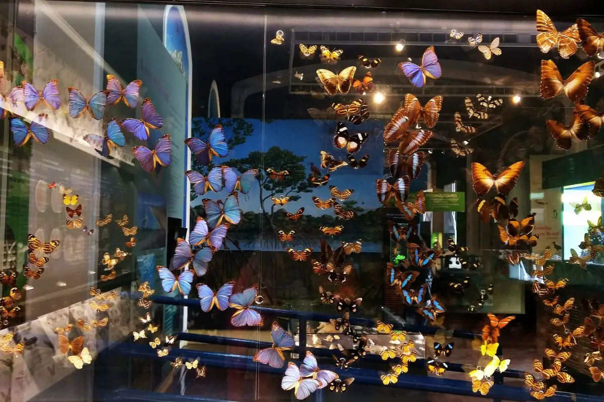 Museu Catavento em São Paulo: O que tem para ver, ingressos e dicas! Museu Catavento em São Paulo: Uma Experiência Interativa para Todas as Idades