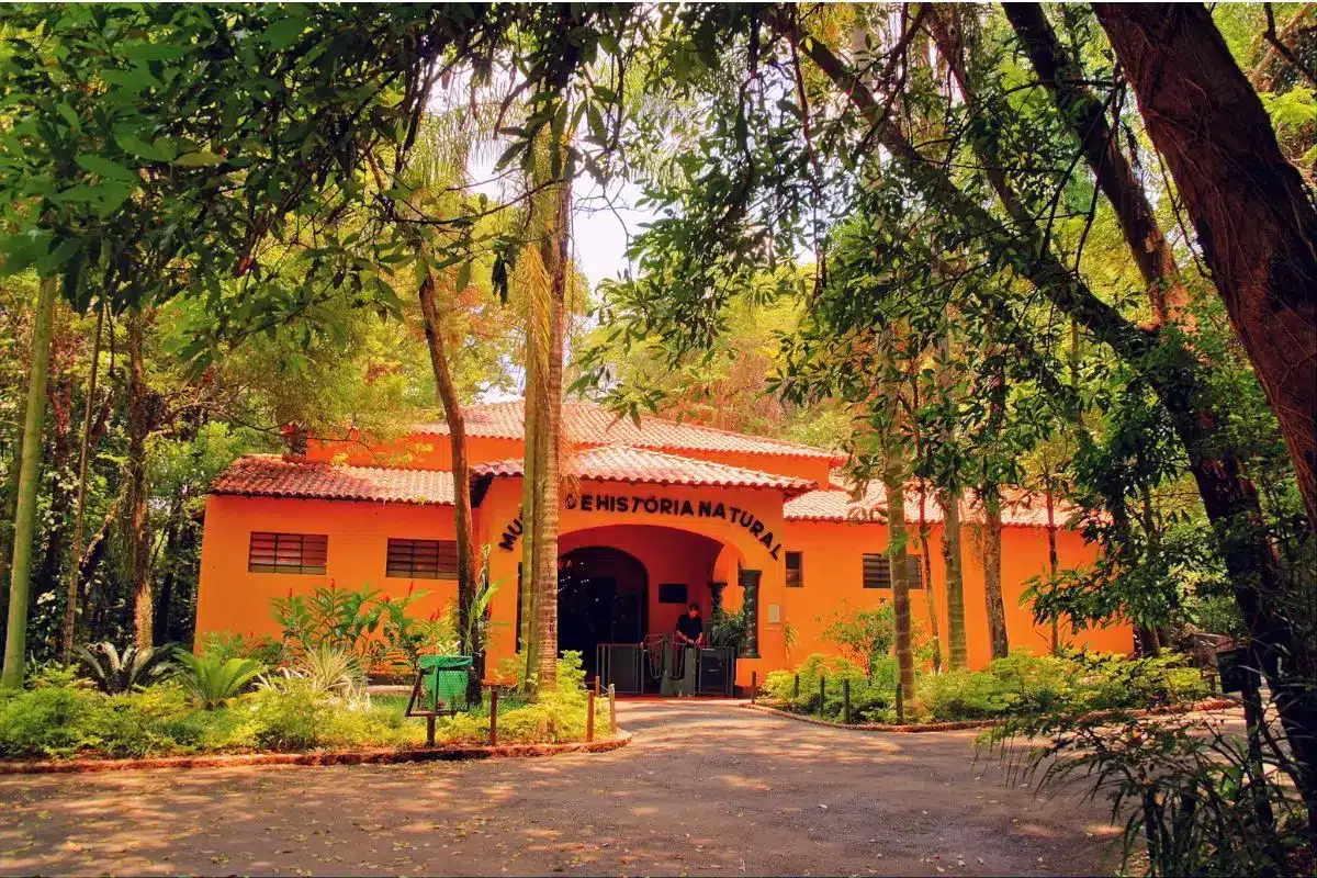 Onde passear de graça em Campinas: 15 atrações imperdíveis para aproveitar sem gastar nada Onde passear de graça em Campinas