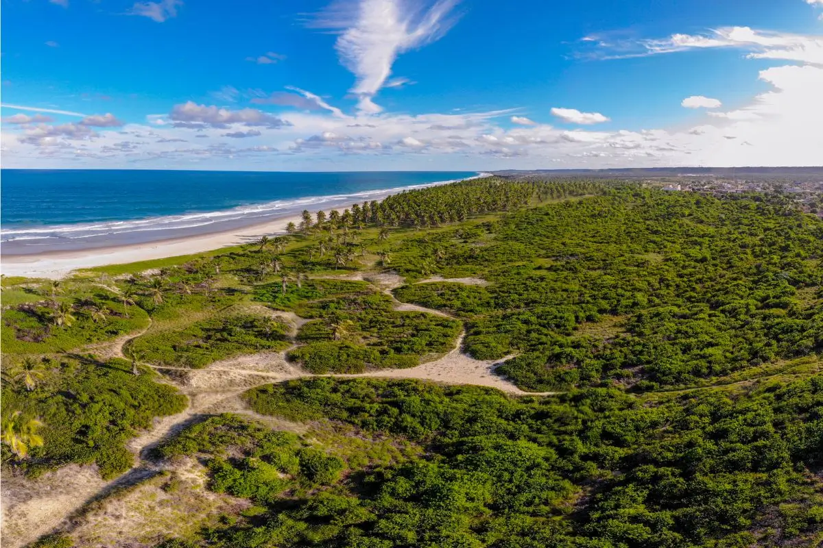 Guia Completo da Praia do Francês: Um Paraíso no Litoral Sul de Alagoas praia do frances alagoas