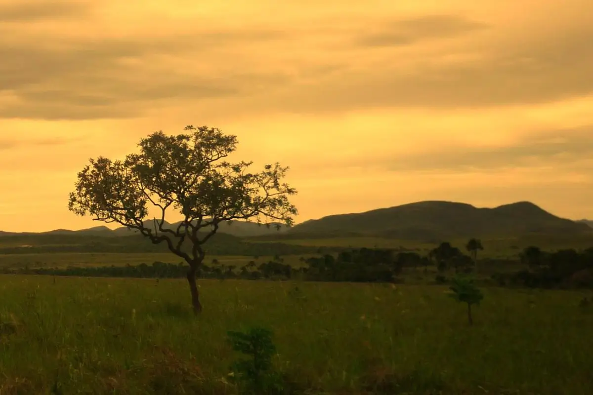 bate e volta brasilia alto Paraiso de goias