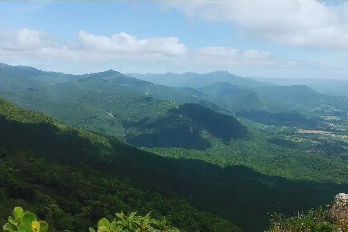 como visitar a mata atlântica como visitar a mata atlantica: Parque Nacional da Serra do Tabuleiro
