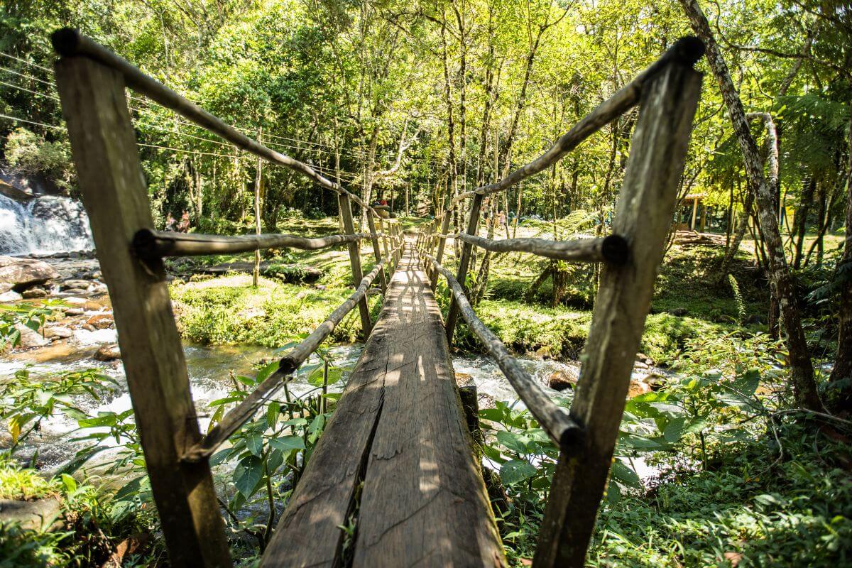 mata Atlântica visconde de mauá