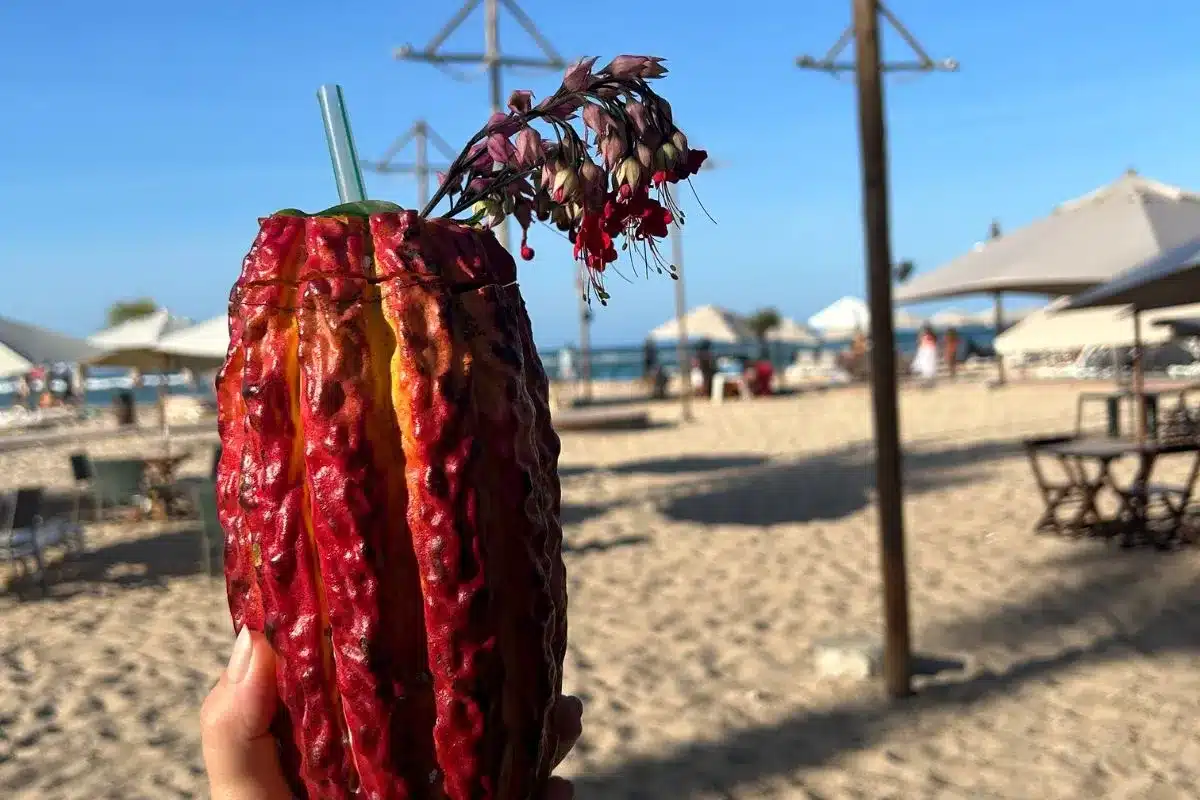 Salvador e Morro de São Paulo