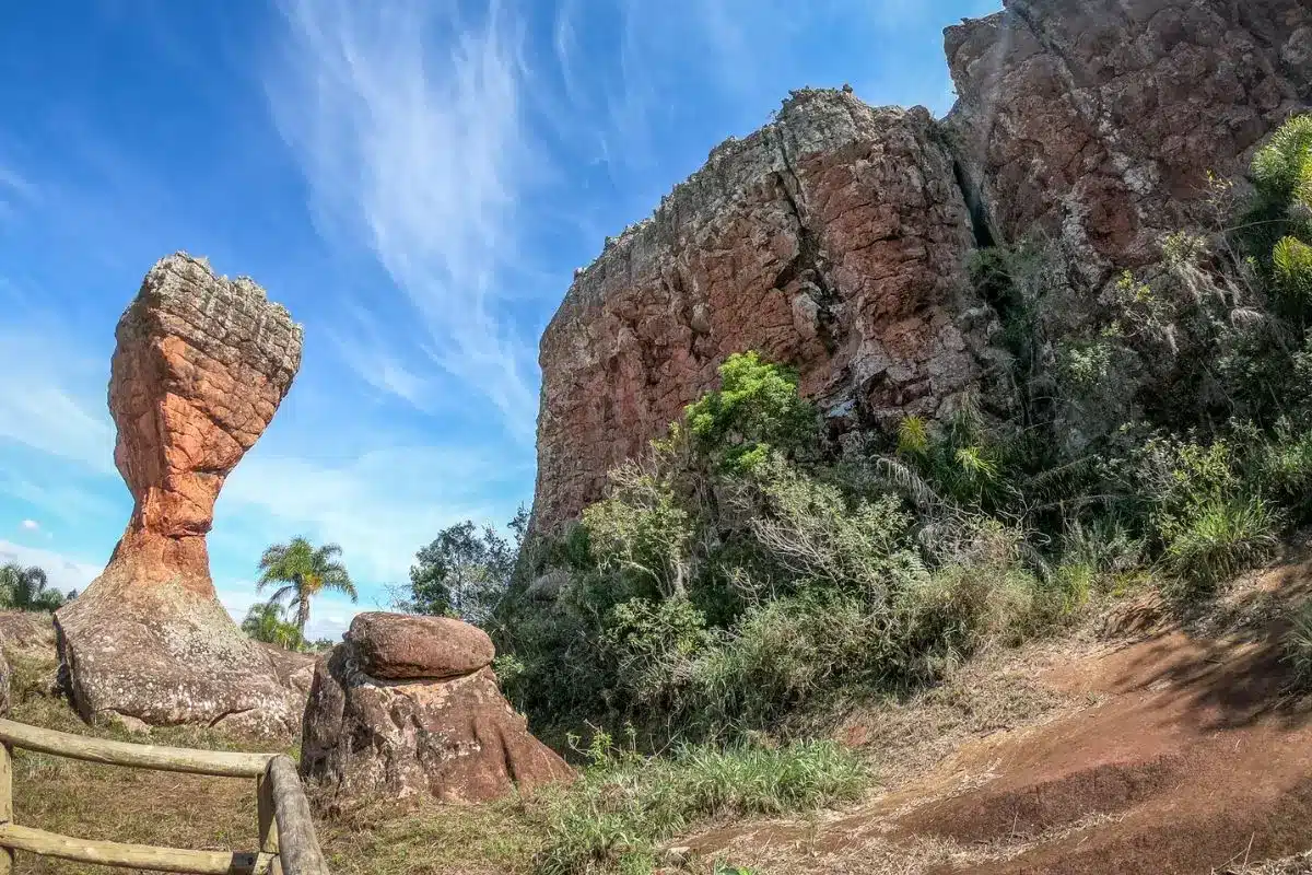 taça parque vila velha Ponta Grossa