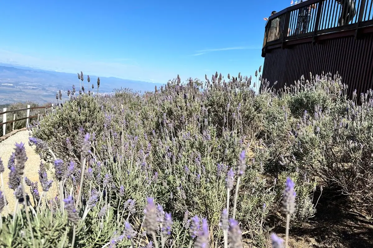 melhores lugares para viajar no brasil, Campos do Jordão