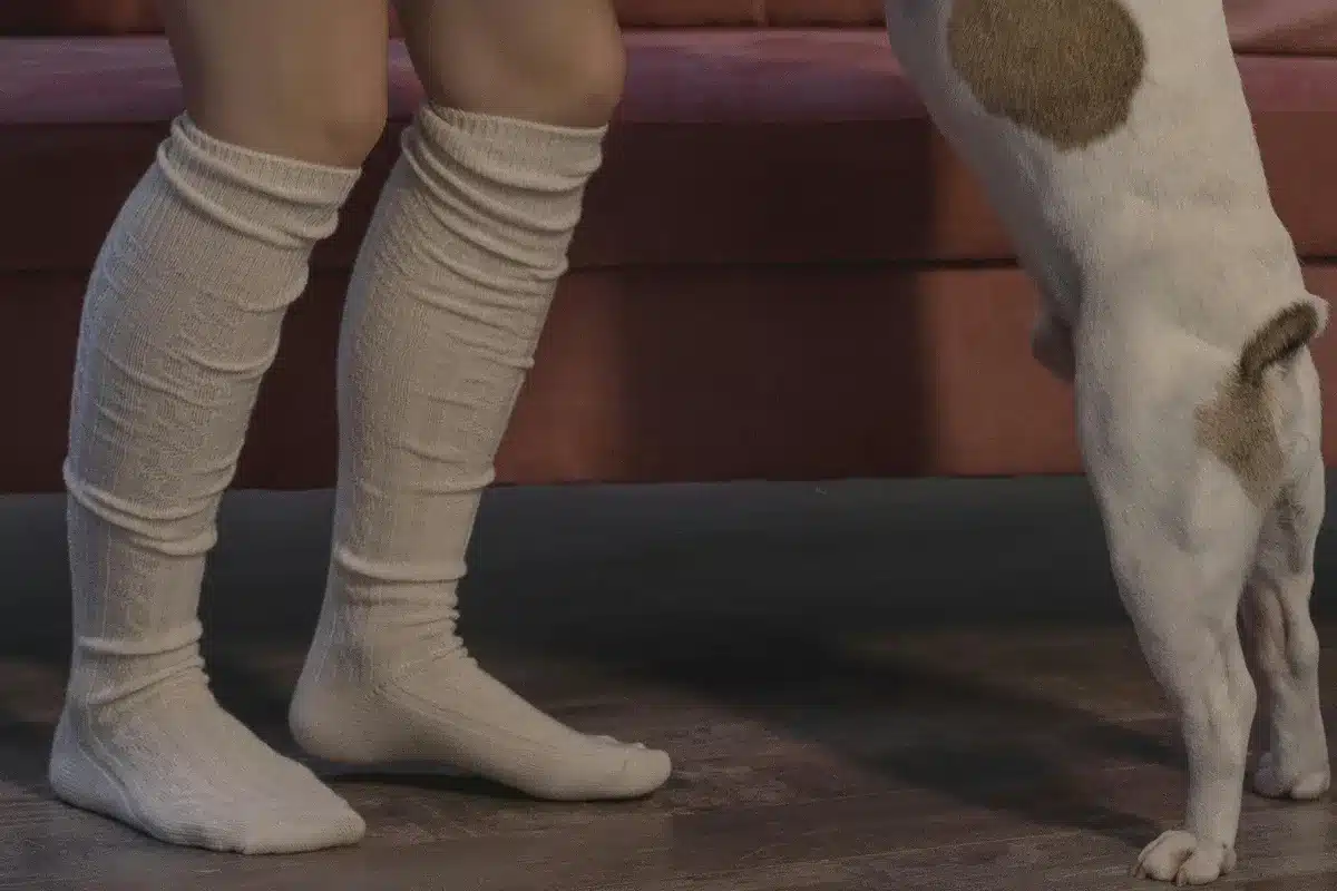 Brincando com o cachorro, em casa, usando meias de compressão