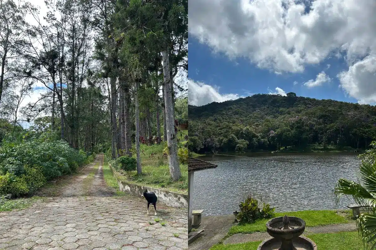 minha viagem para bertioga sp