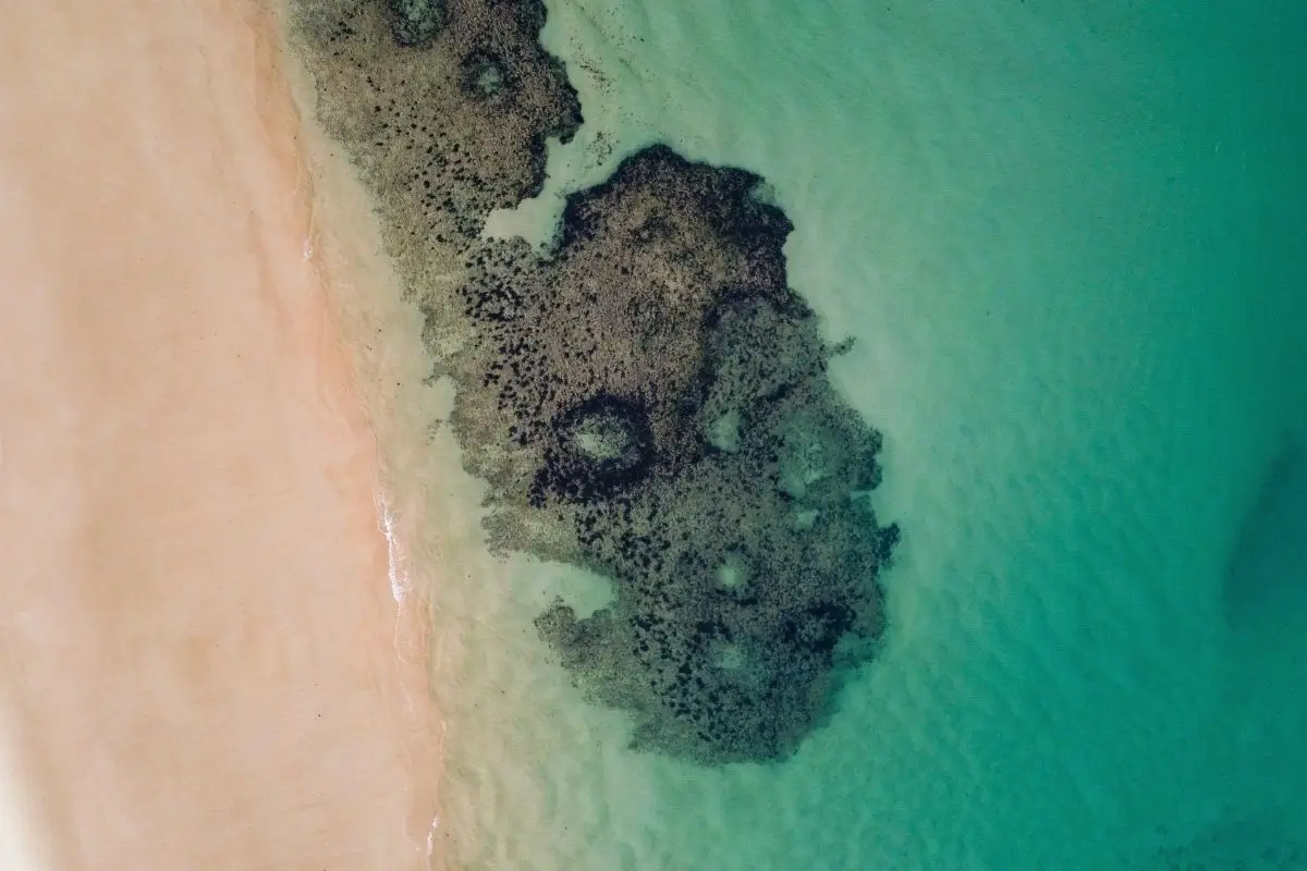 bate e volta de salvador guarajuba fotos