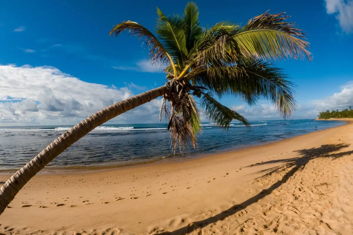 gírias nordestinas, expressões nordeste