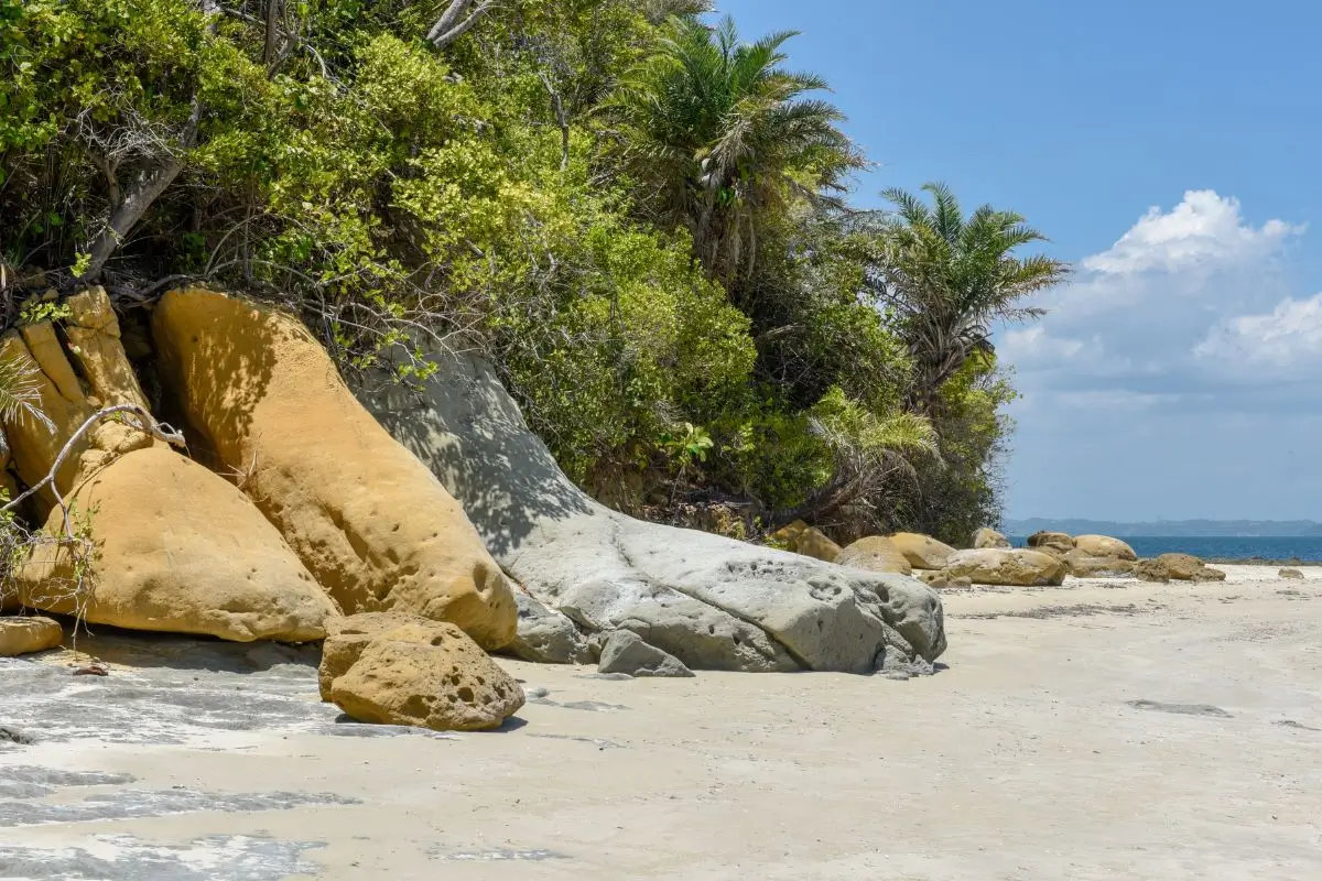 bate e volta salvador, Ilha dos Frades