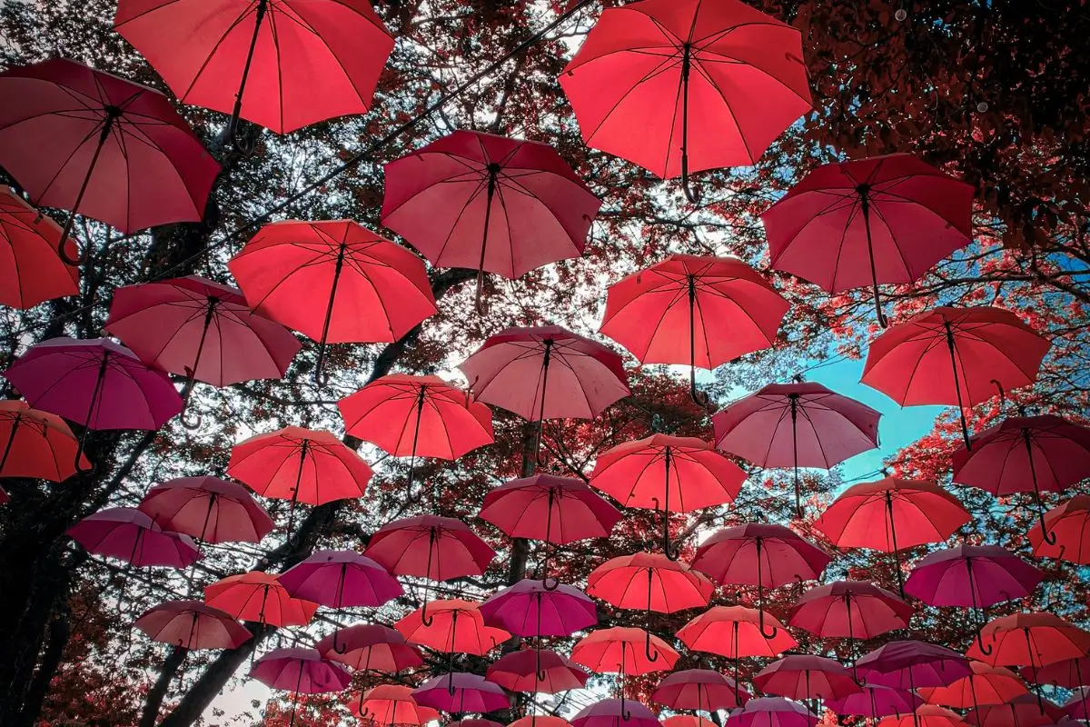 o que fazer em holambra guarda-chuvas