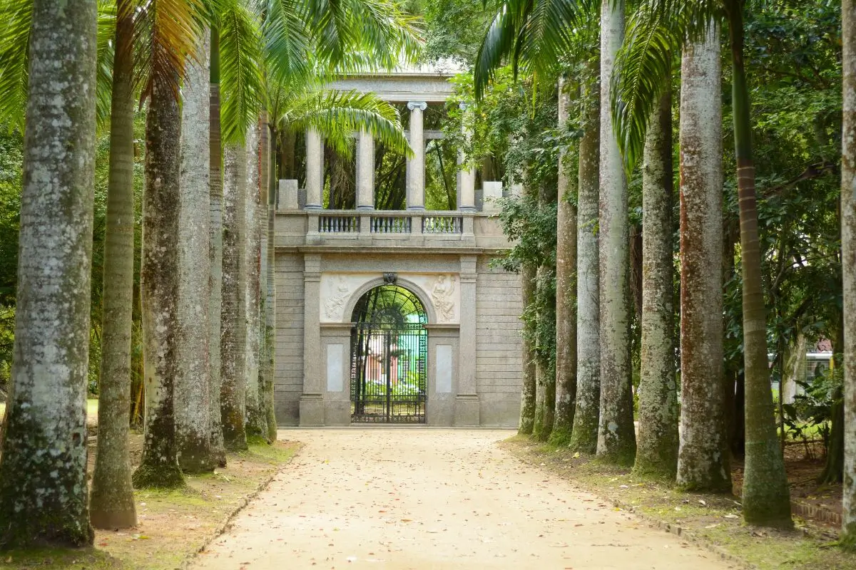 jardim botanico rio de janeiro