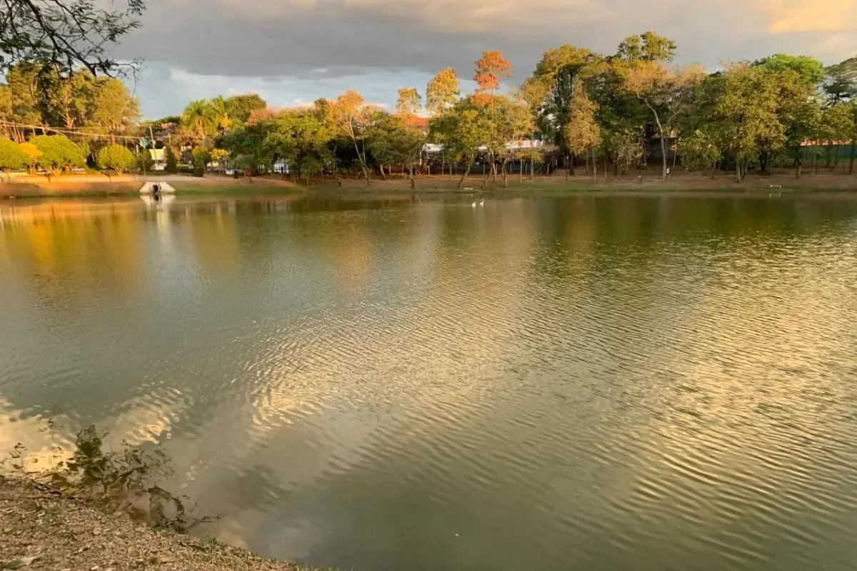 Minha viagem pra Holambra de 2 dias: Roteiro completo 2 dias em holambra