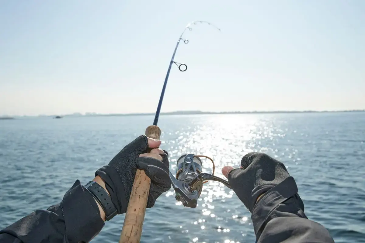 pesca esportiva no brasil