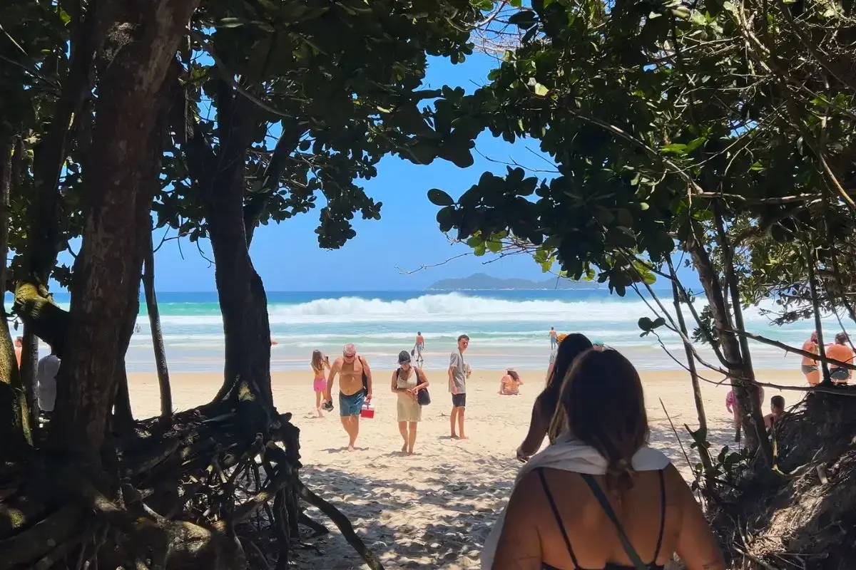 entrada praia de lopes mendes ilha grande