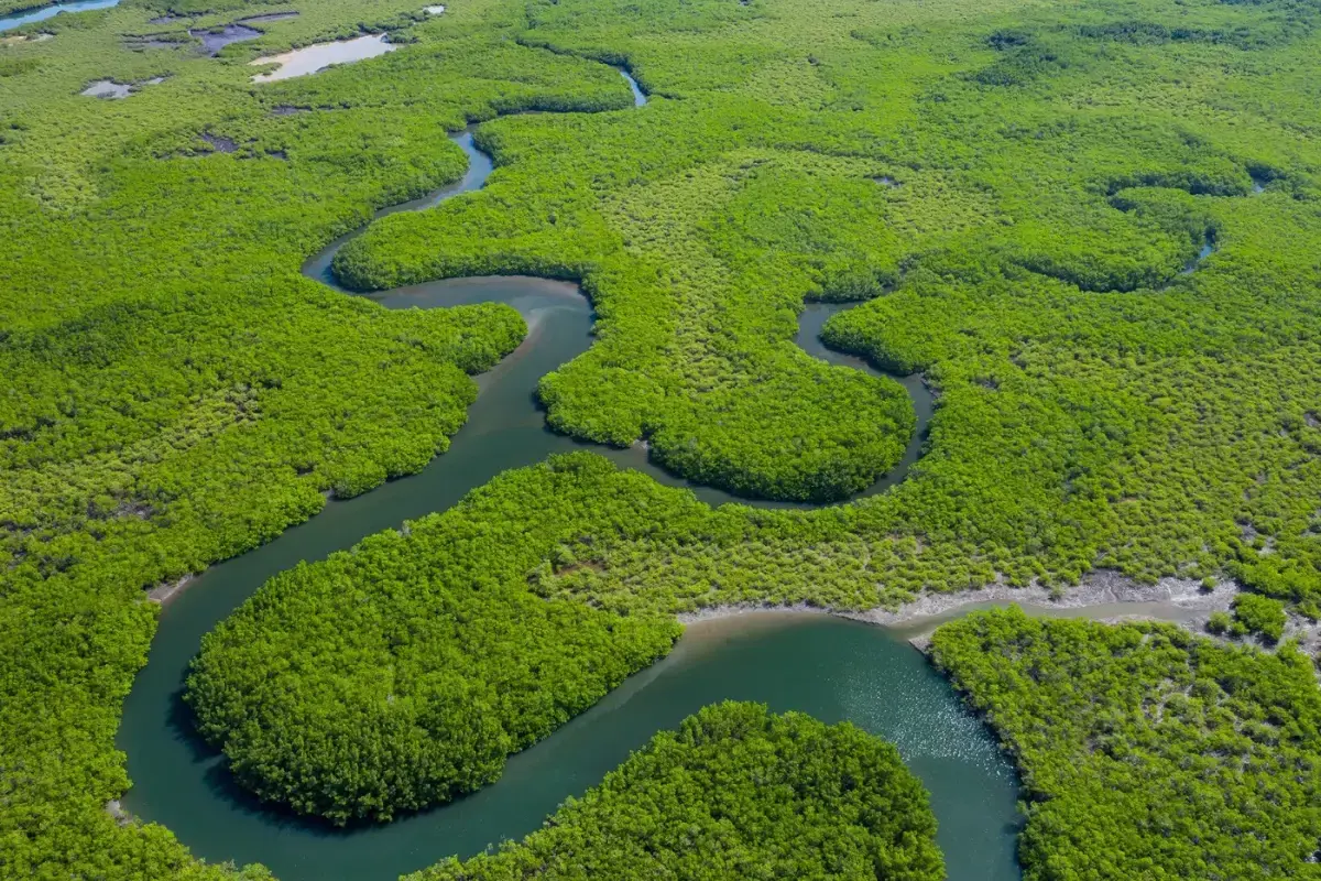 maior rio do mundo, rio amazonas