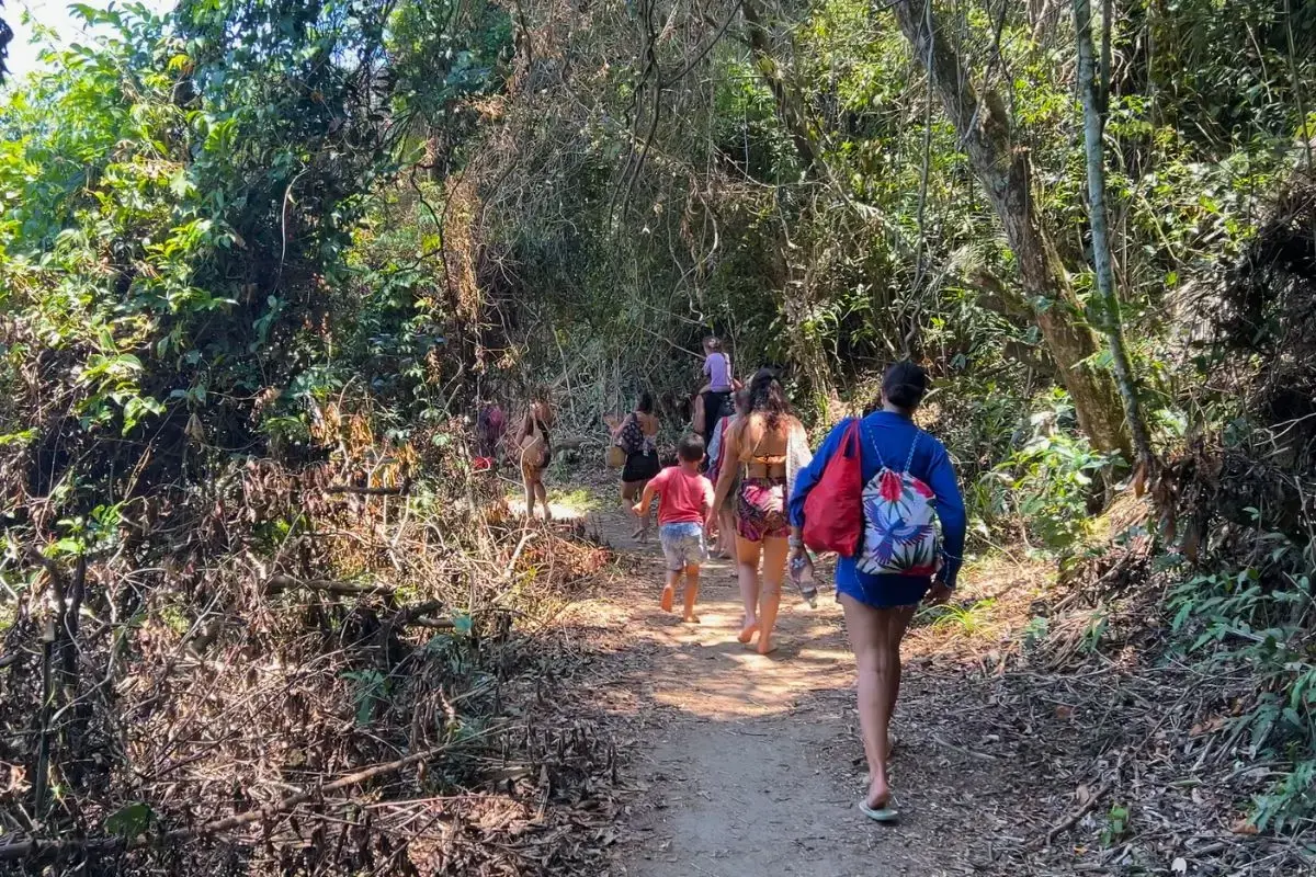 trilha praia de lopes mendes ilha grande