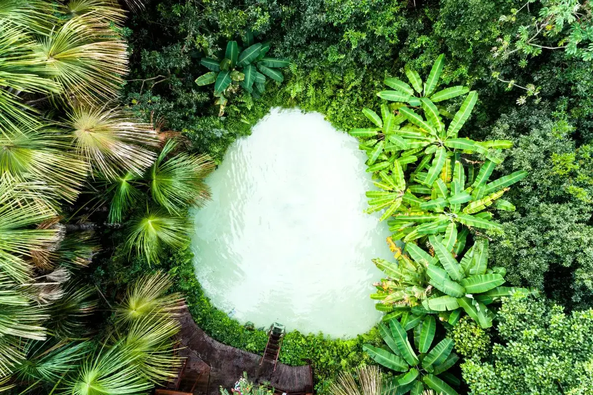 fervedouro do ceiça jalapão