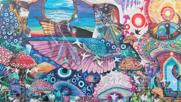 Roteiro completo sobre o que fazer no Beco do Batman em São Paulo. Foto Tati de Sá.