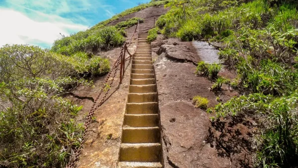 10 parques mais visitados do brasil, esse foi o parque mais visitado do brasil o parque nacional da Tijuca